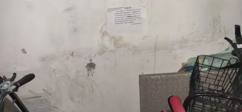 DƬ